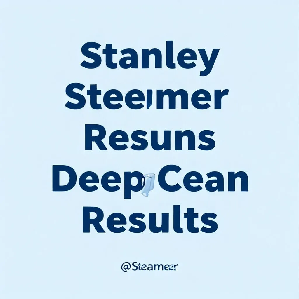 stanley steemer slogan